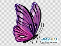 تصویر وکتوری پروانه بنفش