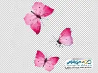 تصویر وکتور پروانه
