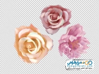 تصویر png گل رز آبرنگ انتزاعی