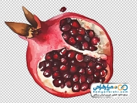تصویر وکتوری برش انار