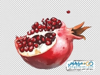 تصویر png برش انار