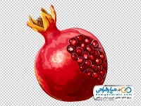 تصویر وکتوری انار قرمز