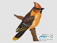 تصویر وکتوری پرنده نشسته روی شاخه
