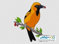 تصویر وکتوری پرنده اوریول نارنجی نشسته روی شاخه درخت