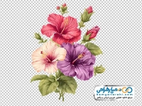تصویر وکتوری دسته گل ختمی آبرنگی