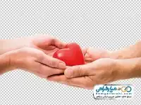 تصویر با کیفیت دست در حال اهدای قلب