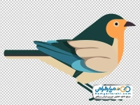 عکس وکتوری پرنده کوچک