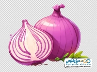 تصویر وکتوری پیاز بنفش