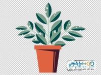 فایل png گیاه آپارتمانی در گلدان