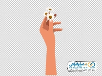 تصویر وکتوری شاخه گل سفید در دست