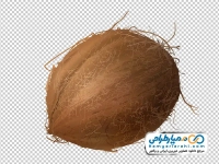عکس وکتوری نارگیل