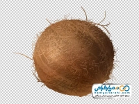 فایل png نارگیل