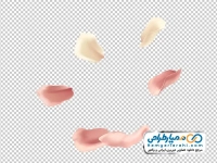 عکس وکتوری گلبرگ های صورتی