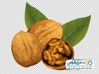 عکس وکتوری گردو