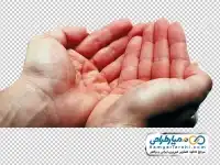 دوربری تصویر دست در حال قنوت
