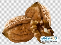 فایل png تصویر گردو