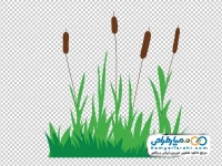 تصویر وکتوری نیزار در چمن