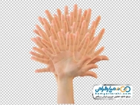 عکس png دست ها و انگشت ها پشت هم به شکل درخت