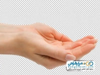 تصویر با کیفیت دست زنانه با ناخن بلند