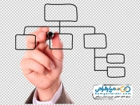 تصویر با کیفیت دست در حال کشیدن نمودار سازمانی