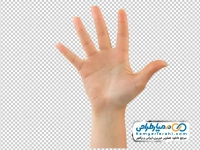 عکس png دست با انگشتان باز