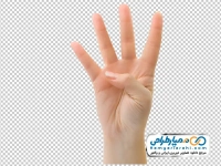 عکس png دست با چهار انگشت باز