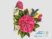 عکس گل و پرنده مینیاتوری