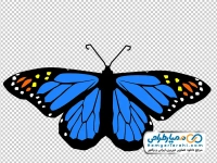 فایل png پروانه آبی
