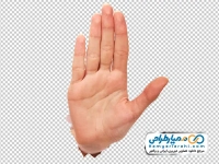 عکس با کیفیت دست راست بیرون آمده از کاغذ با کف دست
