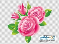 تصویر وکتوری گل محمدی