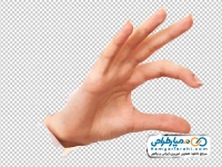 تصویر png دست زنانه در حال نشان دادن اندازه