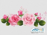 تصویر وکتوری رز صورتی