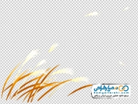 تصویر وکتوری نی طلایی در مزرعه پاییزی