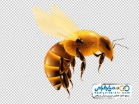 تصویر وکتوری زنبور ملکه
