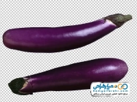 عکس png بادمجان قلمی
