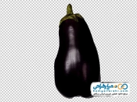 عکس png بادمجان دلمه ای
