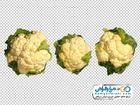 عکس بدون پس زمینه گل کلم