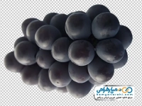 عکس با کیفیت انگور سیاه