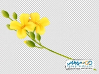 تصویر وکتوری شاخه گل زرد