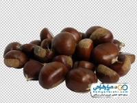 تصویر با کیفیت شاه بلوط چینی