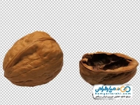 عکس با کیفیت گردو