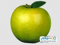 عکس png سیب درختی سبز