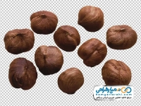 عکس با کیفیت مغز فندق