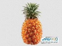 عکس با کیفیت آناناس