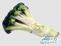 عکس بدون پس زمینه کلم بروکلی