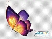 تصویر وکتوری پروانه