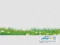 دوربری تصویر چمن و گل