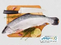 تصویر دوربری ماهی روی تخته آشپزخانه